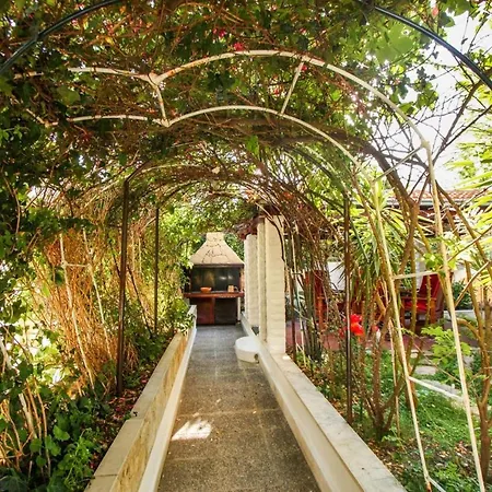 Green Paradise With Garden