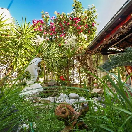 Green Paradise With Garden Split